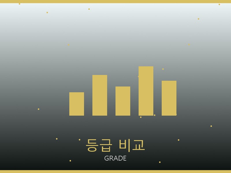 피아제 레플리카 사이트 등급 기준 비교